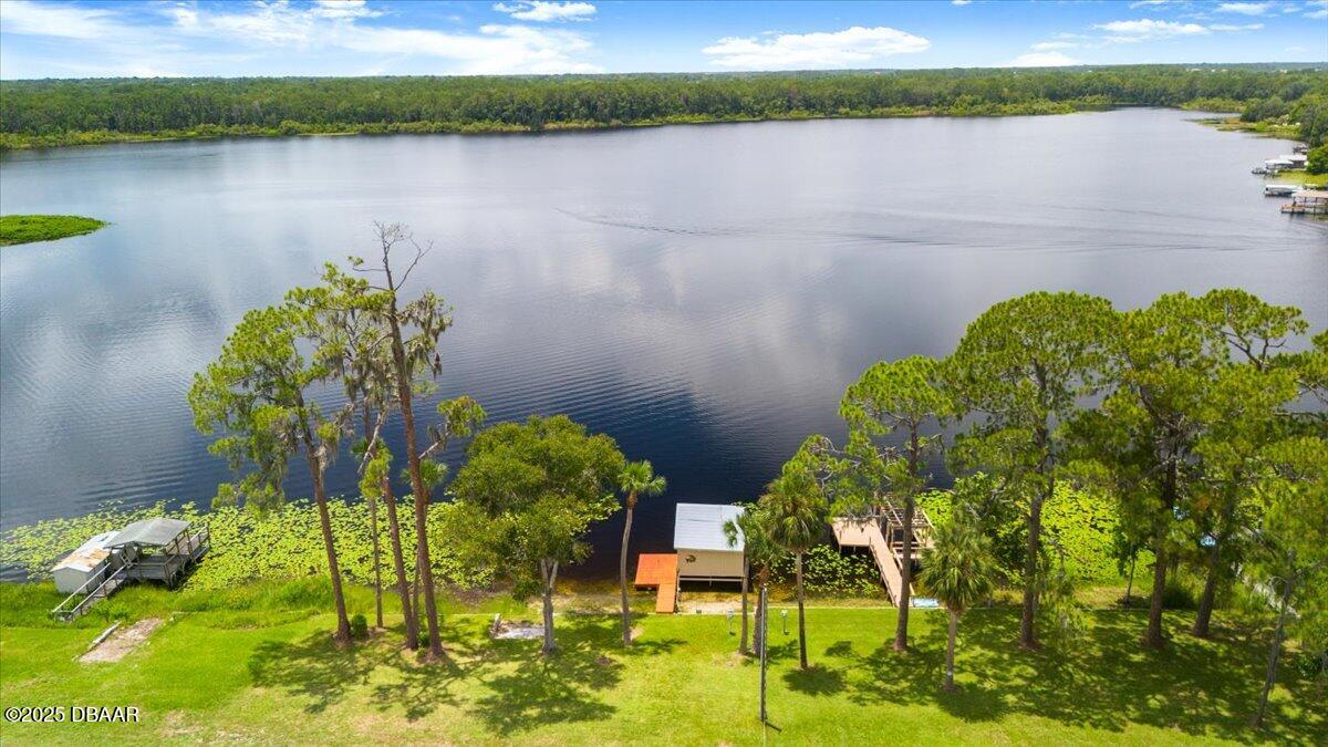 1005 North Kepler Road DeLand, FL 32724 - Photo 4 of 57 a blue swimming pool with a garden and plants