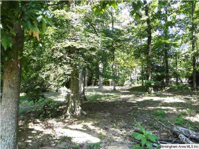 4960 Spring Rock Road Mountain Brook, AL 35223 - Photo 30 of 31