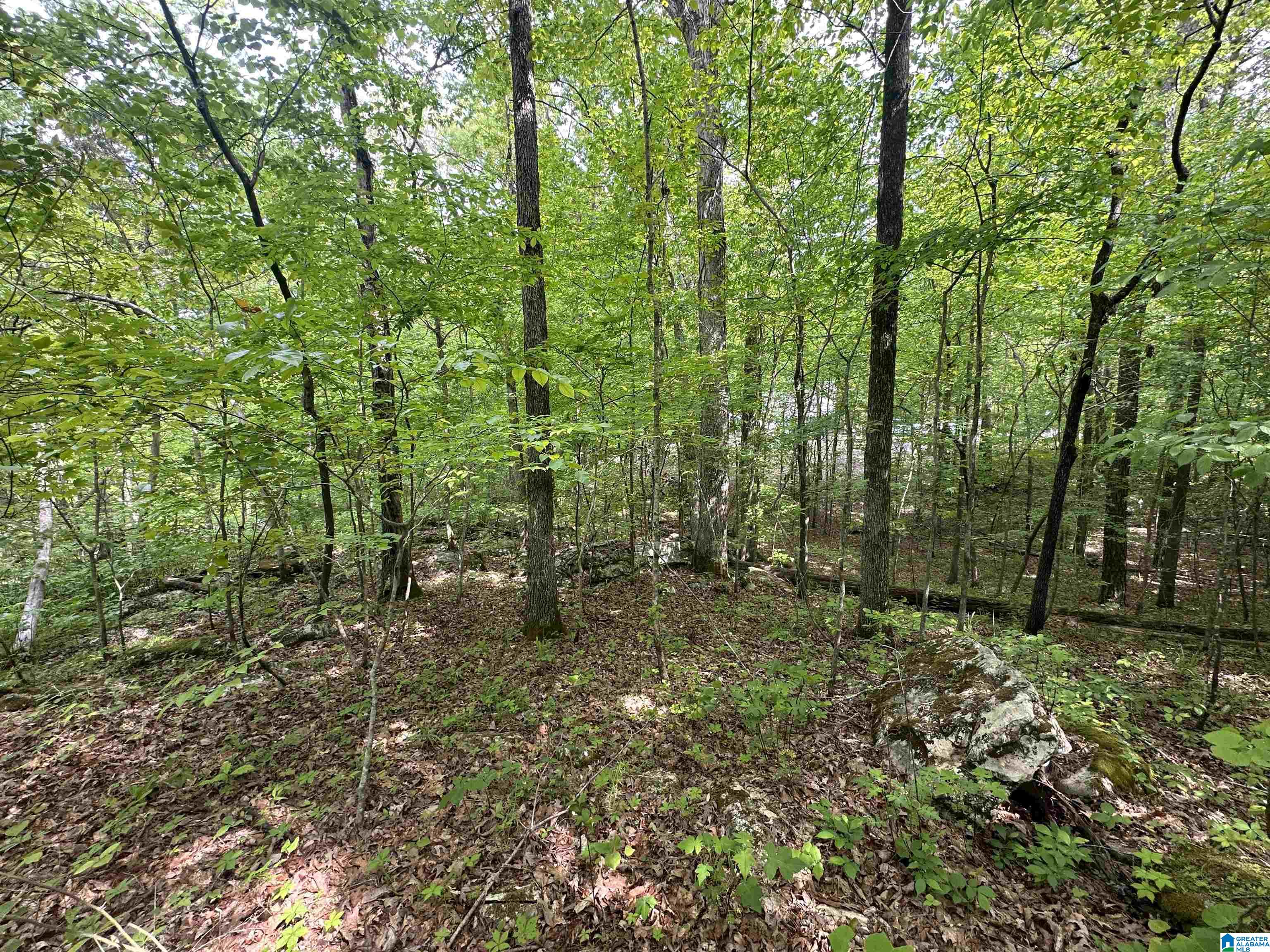 Timber Trail, Unit 1 Sumiton, AL 35148 - Photo 11 of 12