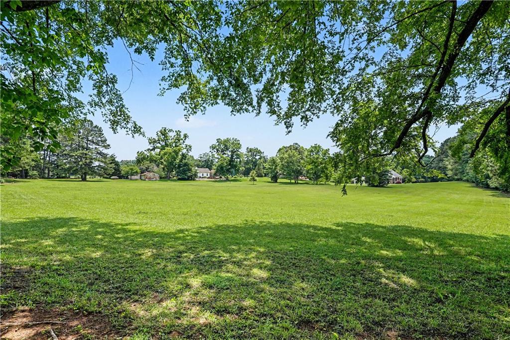 355 Inman Road Hampton, GA 30228 - Photo 43 of 47 a view of a garden with a tree