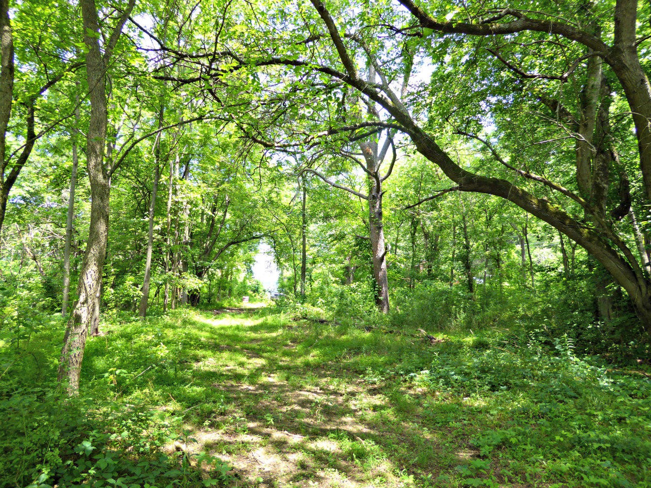 123 Ernie Roberts Road Rutledge, TN 37861 - Photo 16 of 32 Gallery Image 16