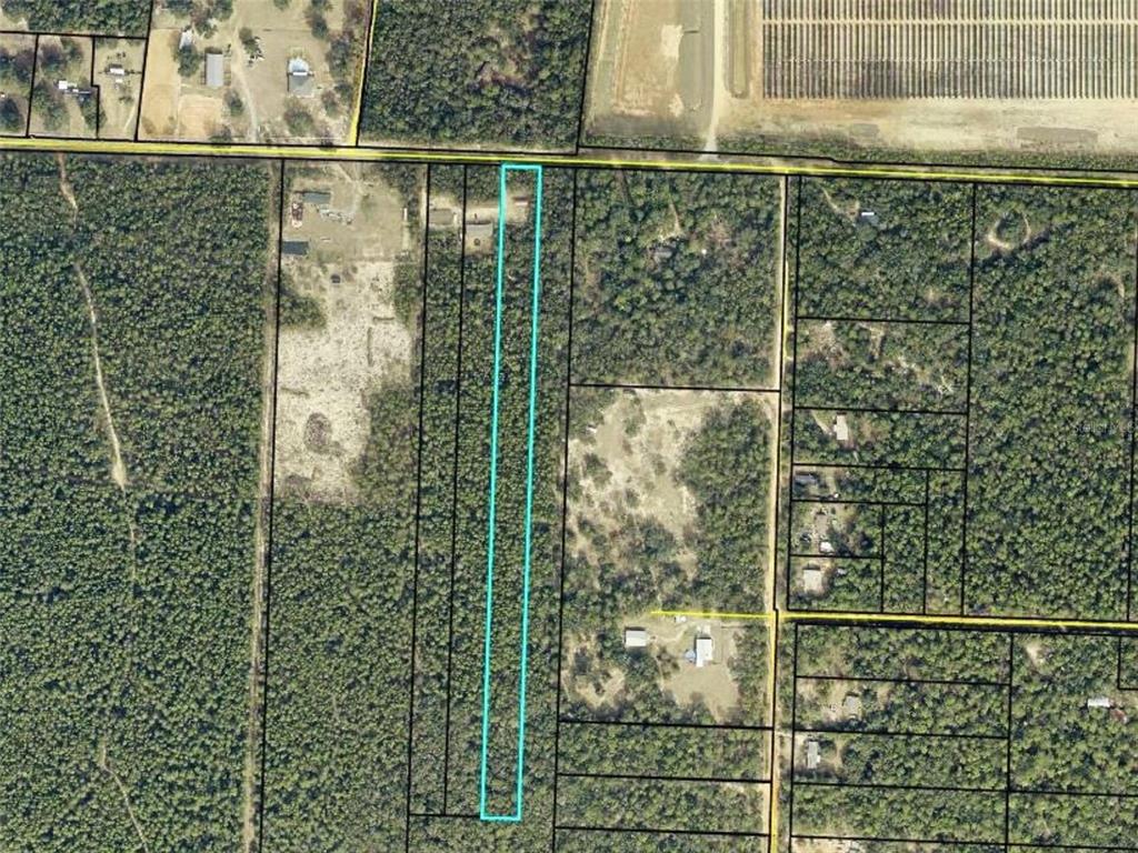 Trawick Creek Road Holt, FL 32564 - Photo 6 of 10