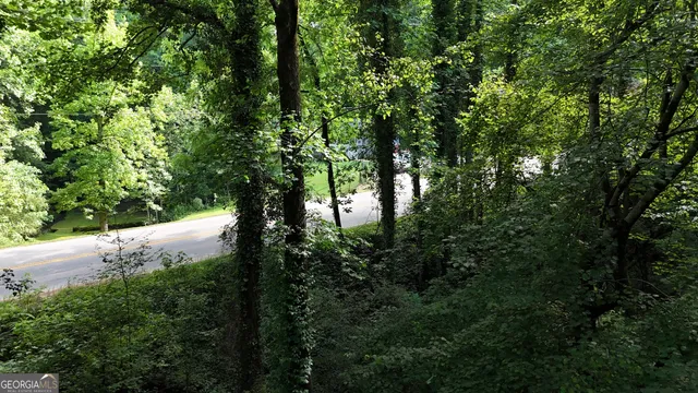 a view of a trees in a yard