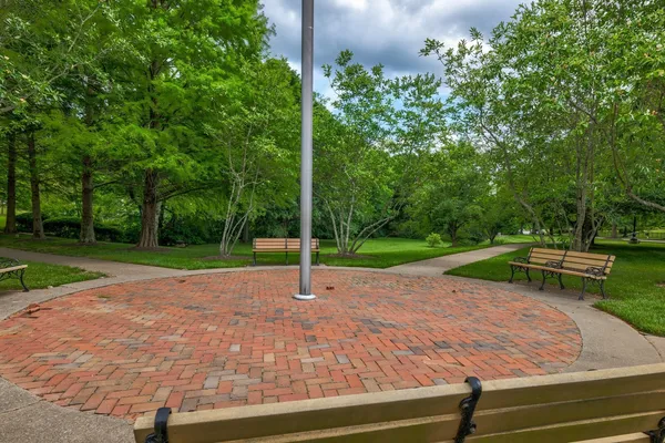 a view of a park with large trees