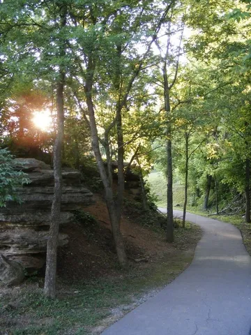 a view of outdoor space and yard