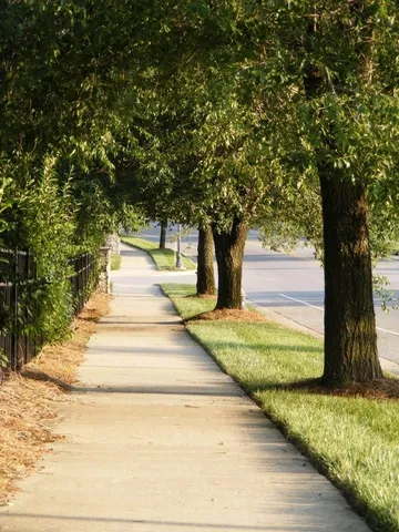 a view of a yard with large trees