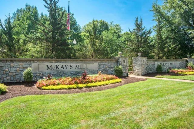 a view of a swimming pool with a yard and plants