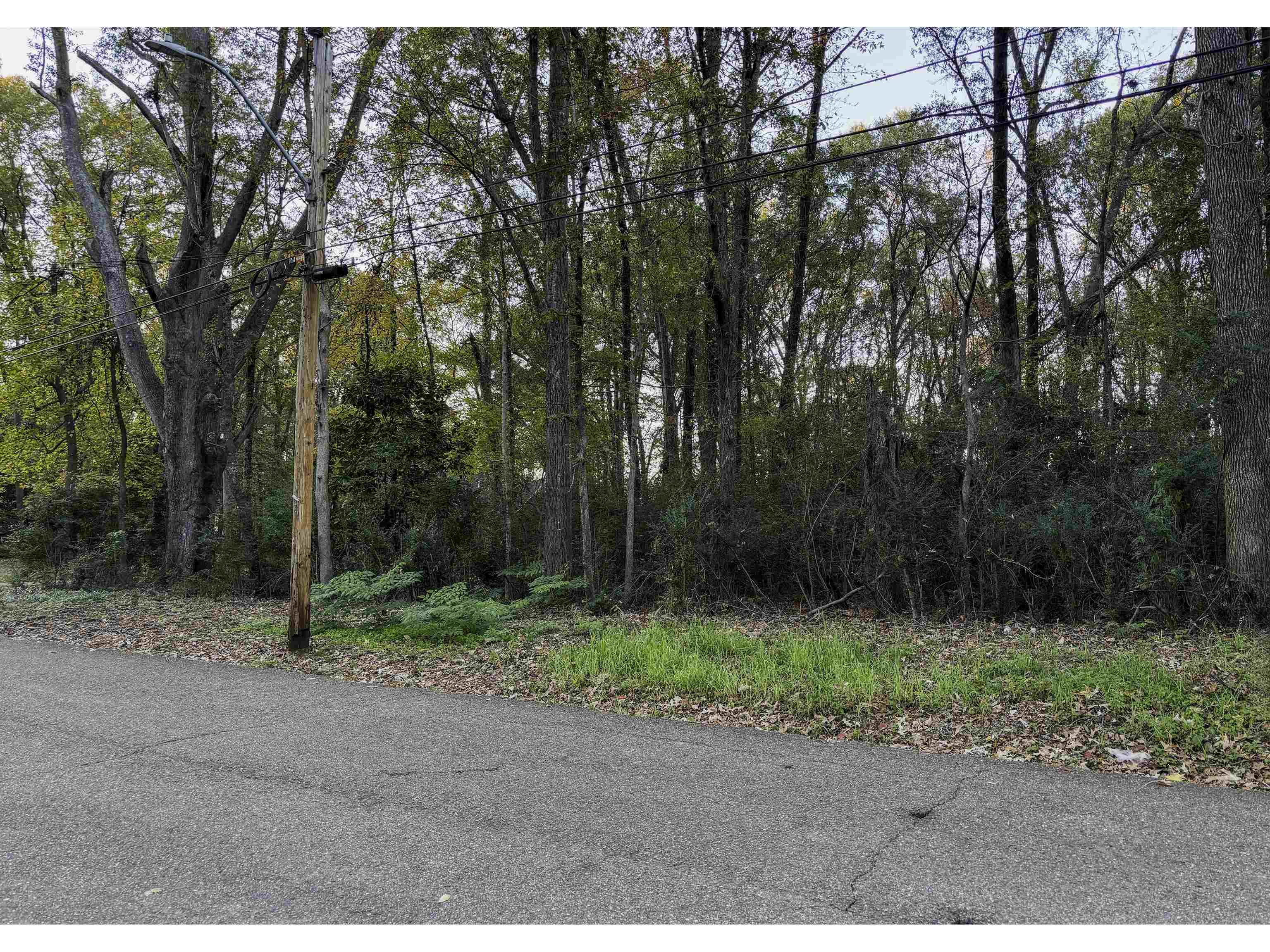 7016 7th Road Bartlett, TN 38135 - Photo 2 of 3 View of street