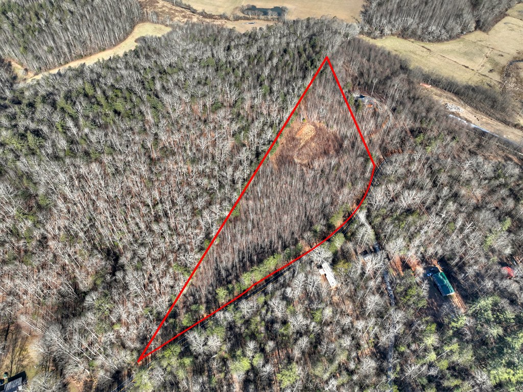 136 B Pack Creek Road Blue Ridge, GA 30513 - Photo 22 of 87