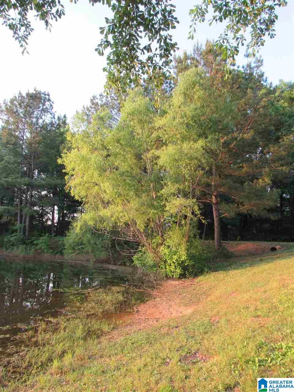 210 Shirey Lane Calera, AL 35040 - Photo 12 of 38