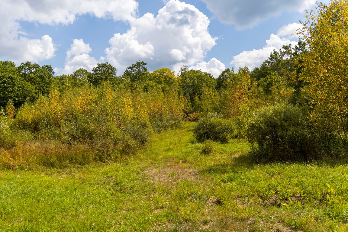 638 Cascade Valley Road Windsor, NY 13865 - Photo 45 of 50 Gallery Image 45