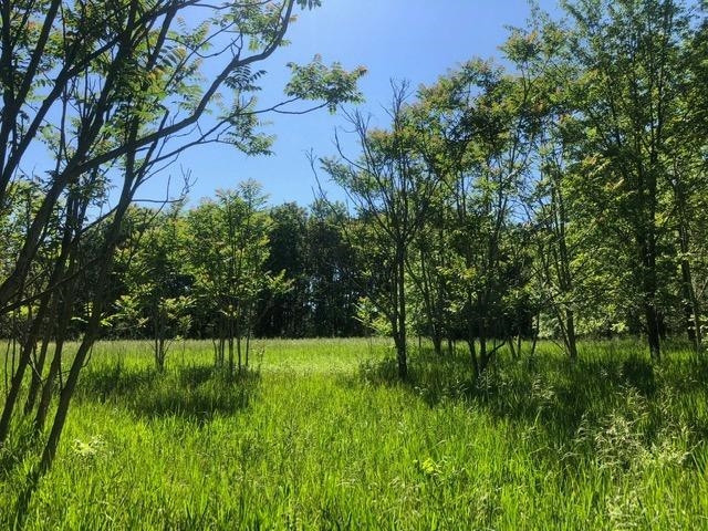 2 Hadley Road Gregory, MI 48137 - Photo 3 of 14 Photo 3