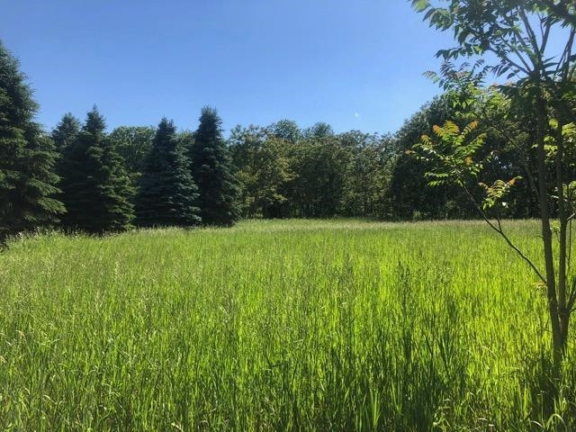 2 Hadley Road Gregory, MI 48137 - Photo 4 of 14 Photo 4