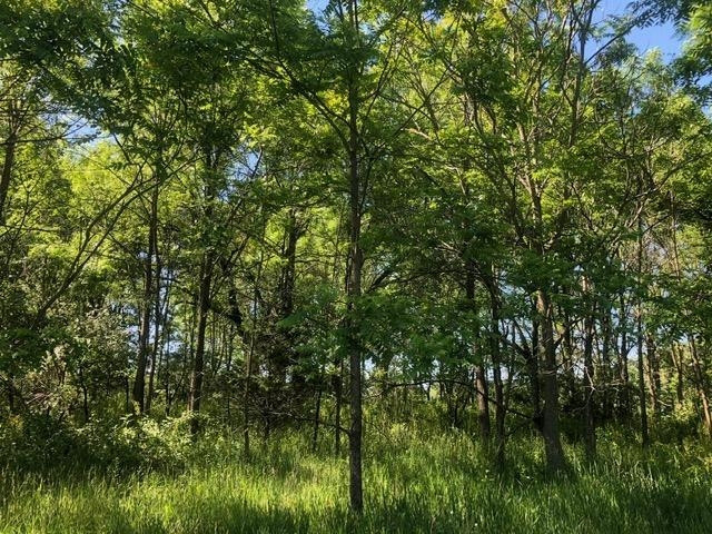 2 Hadley Road Gregory, MI 48137 - Photo 10 of 14 Photo 10
