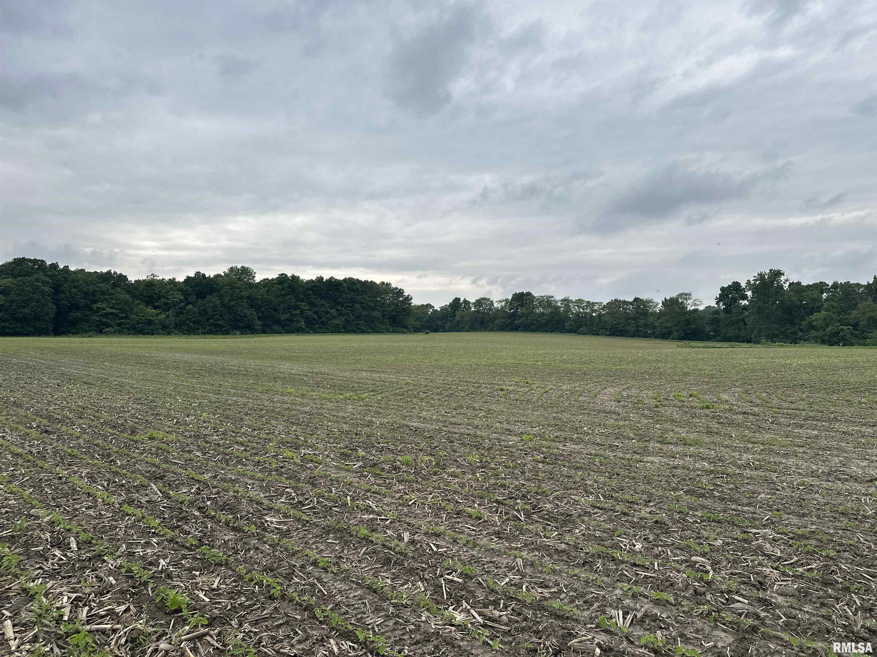 0 North Snake Trail Road Charleston, IL 61920 - Photo 15 of 58 Gallery Image 15