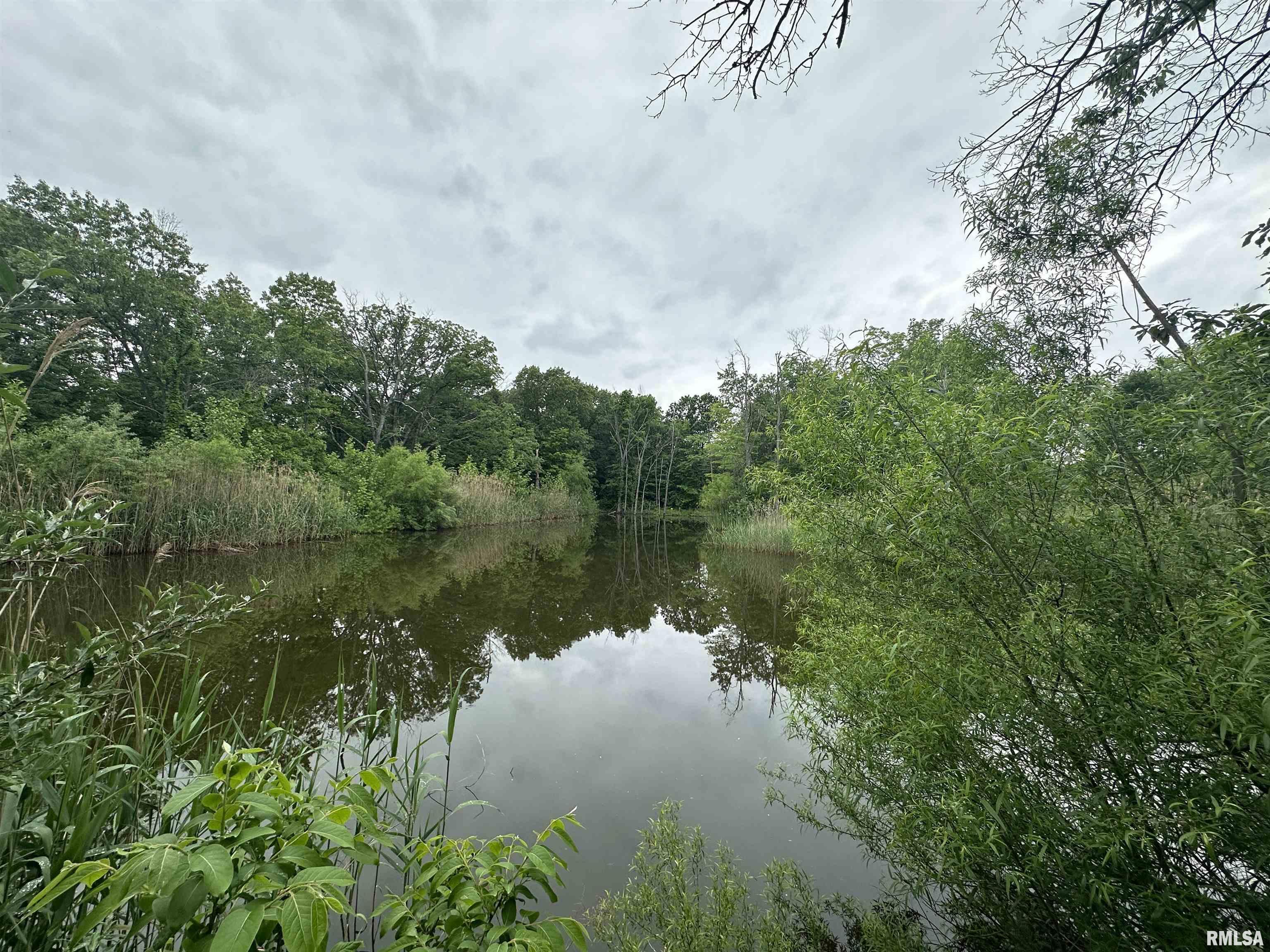 0 North Snake Trail Road Charleston, IL 61920 - Photo 20 of 58 Gallery Image 20