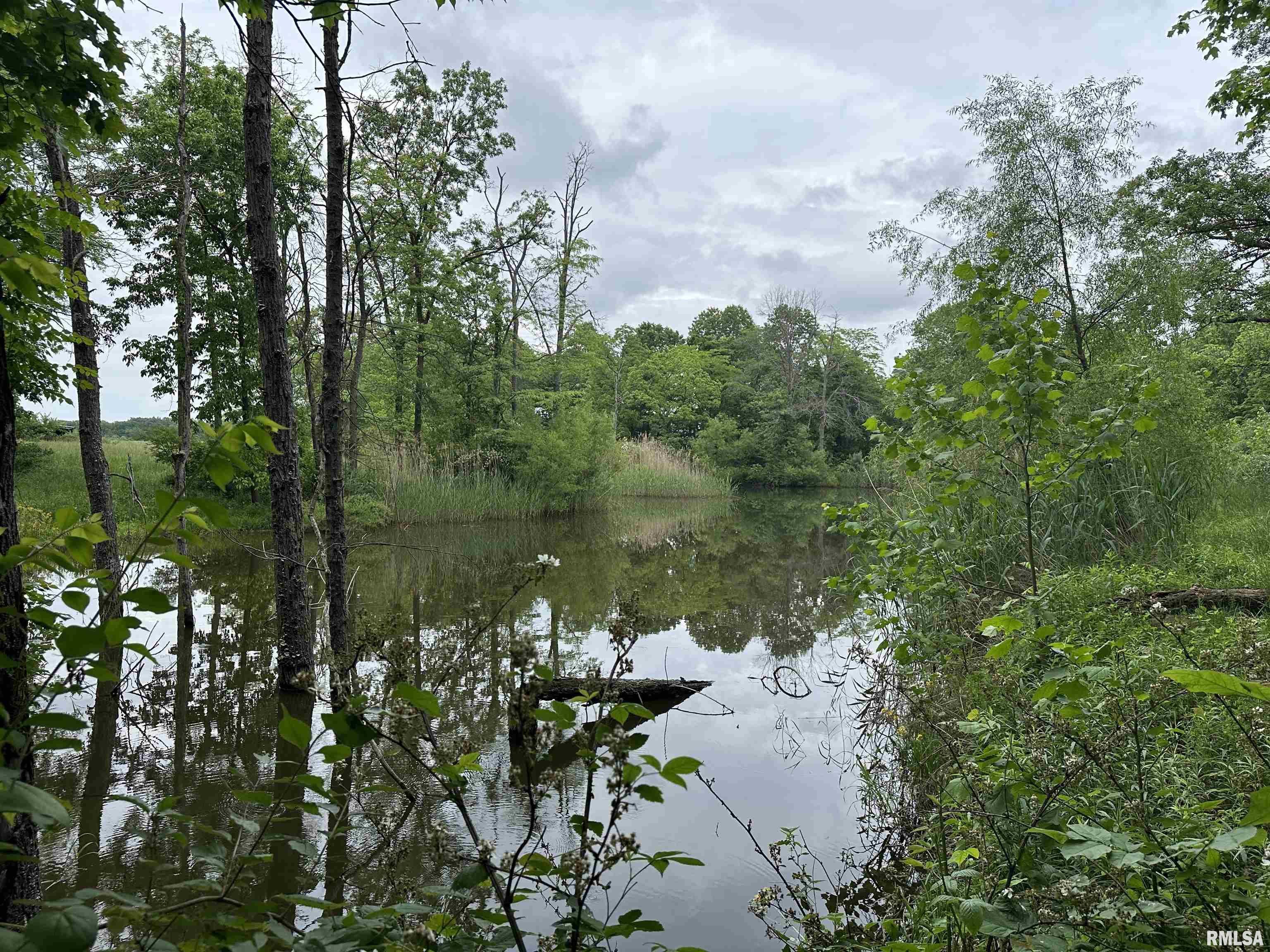 0 North Snake Trail Road Charleston, IL 61920 - Photo 21 of 58 Gallery Image 21
