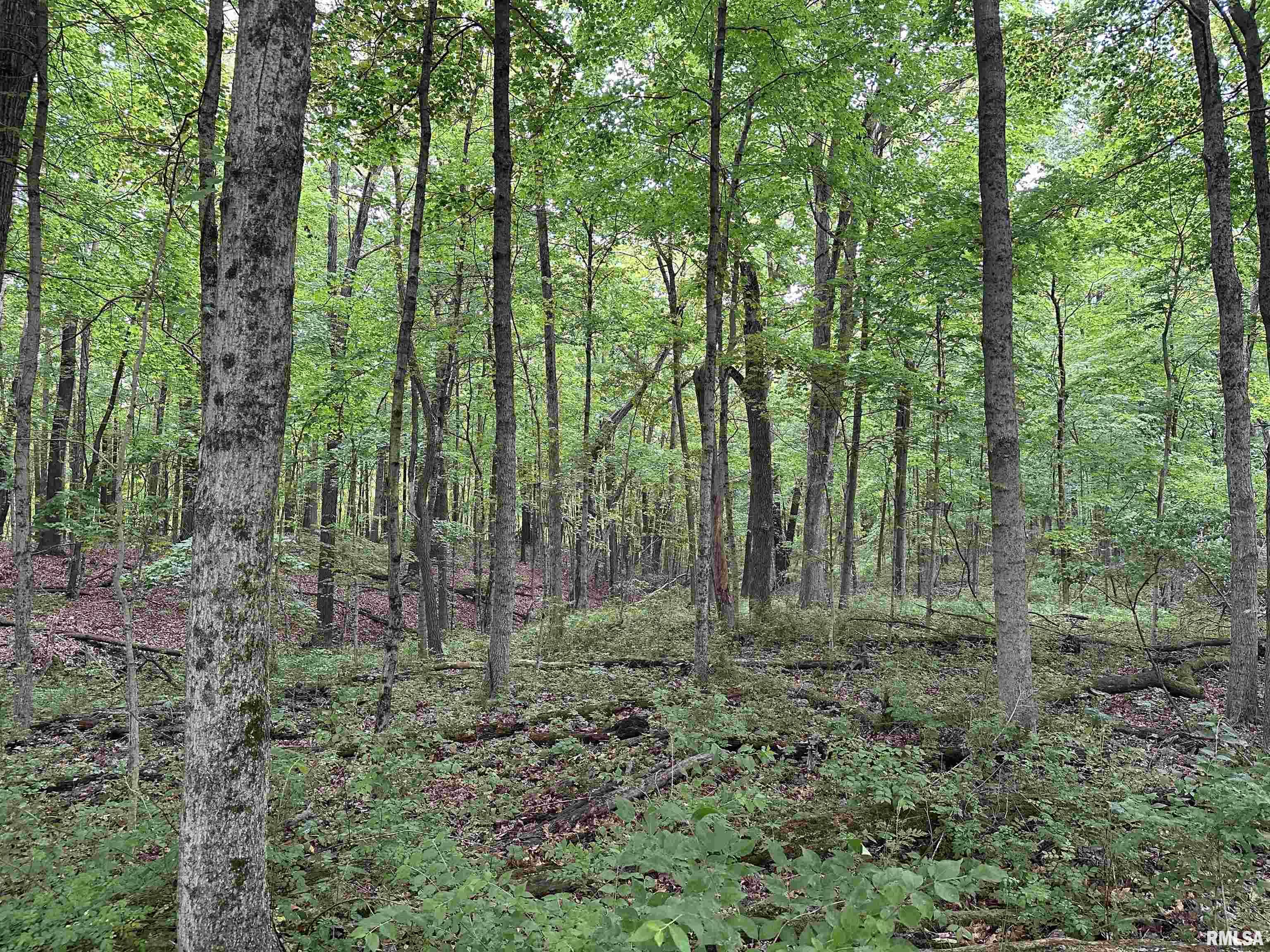 0 North Snake Trail Road Charleston, IL 61920 - Photo 23 of 58 Gallery Image 23