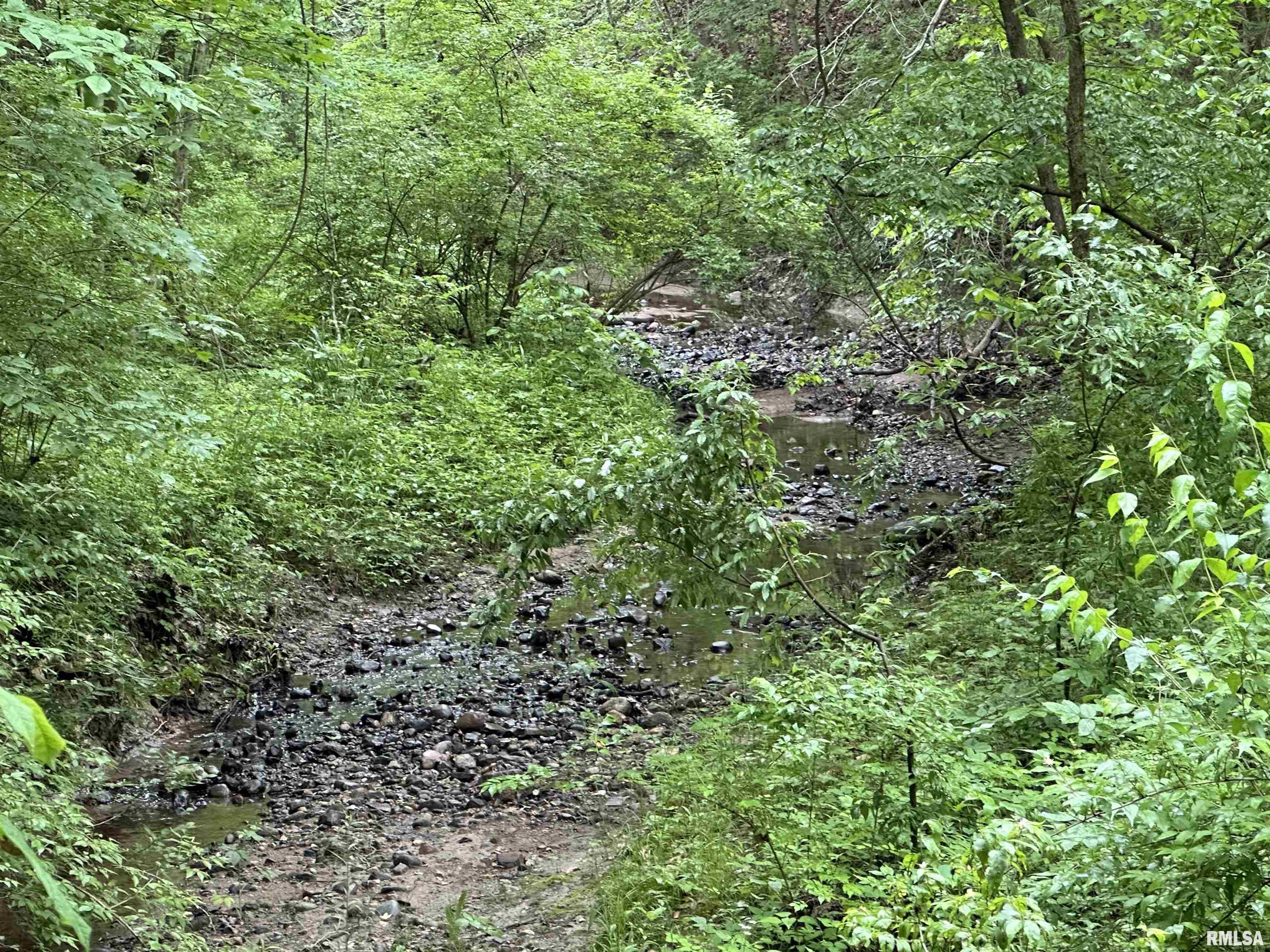 0 North Snake Trail Road Charleston, IL 61920 - Photo 25 of 58 Gallery Image 25