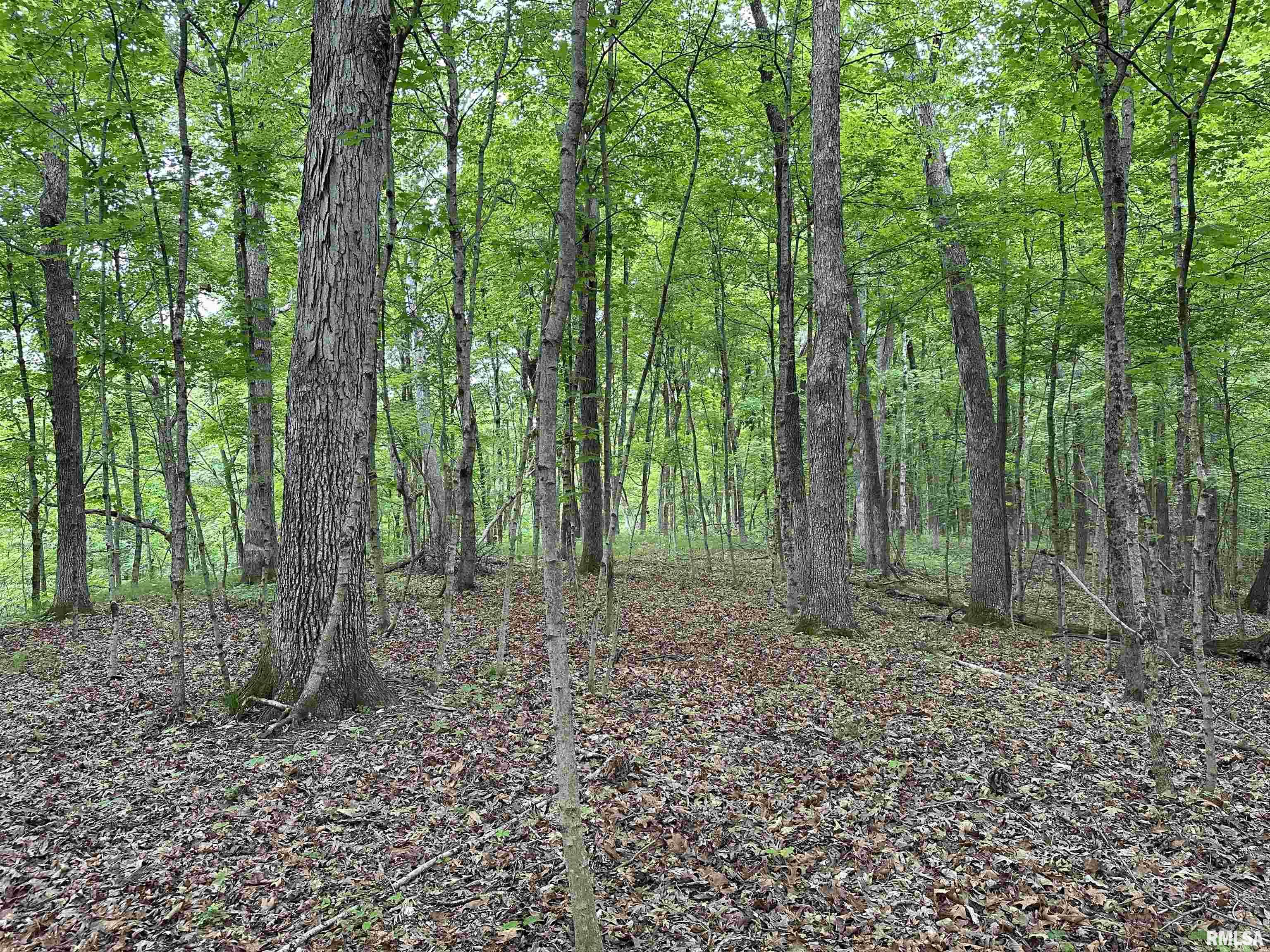 0 North Snake Trail Road Charleston, IL 61920 - Photo 27 of 58 Gallery Image 27