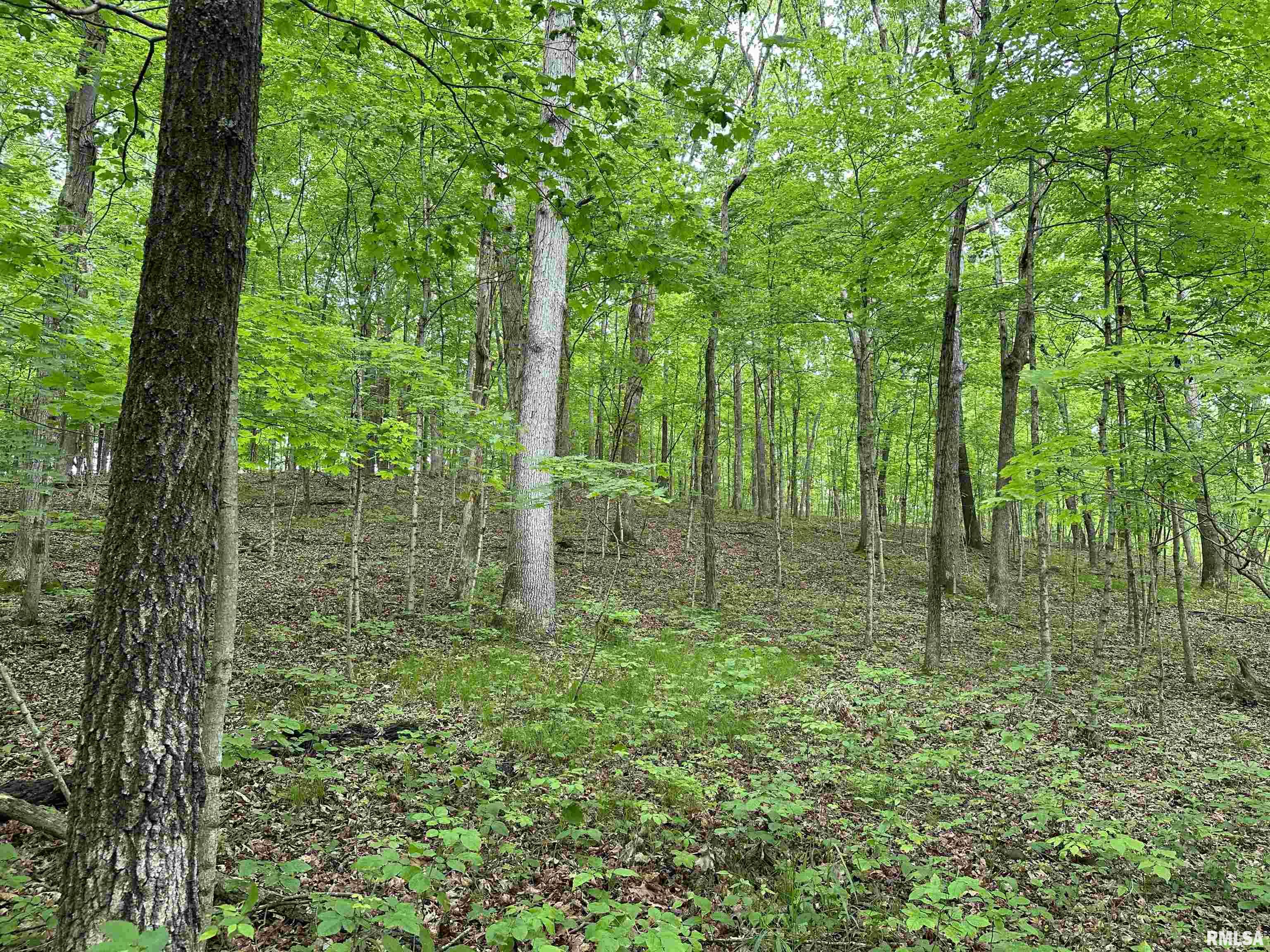0 North Snake Trail Road Charleston, IL 61920 - Photo 32 of 58 Gallery Image 32