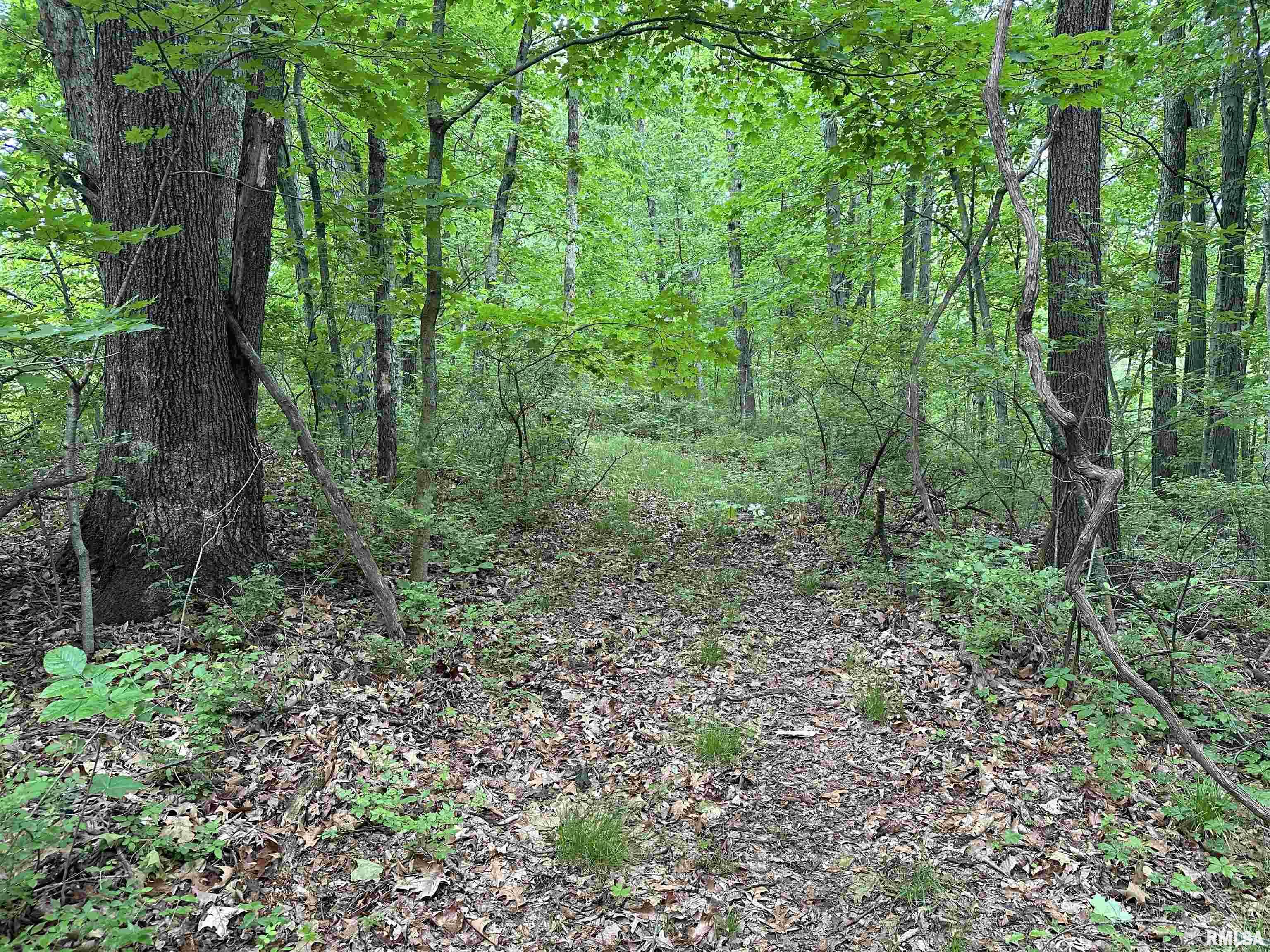 0 North Snake Trail Road Charleston, IL 61920 - Photo 39 of 58 Gallery Image 39