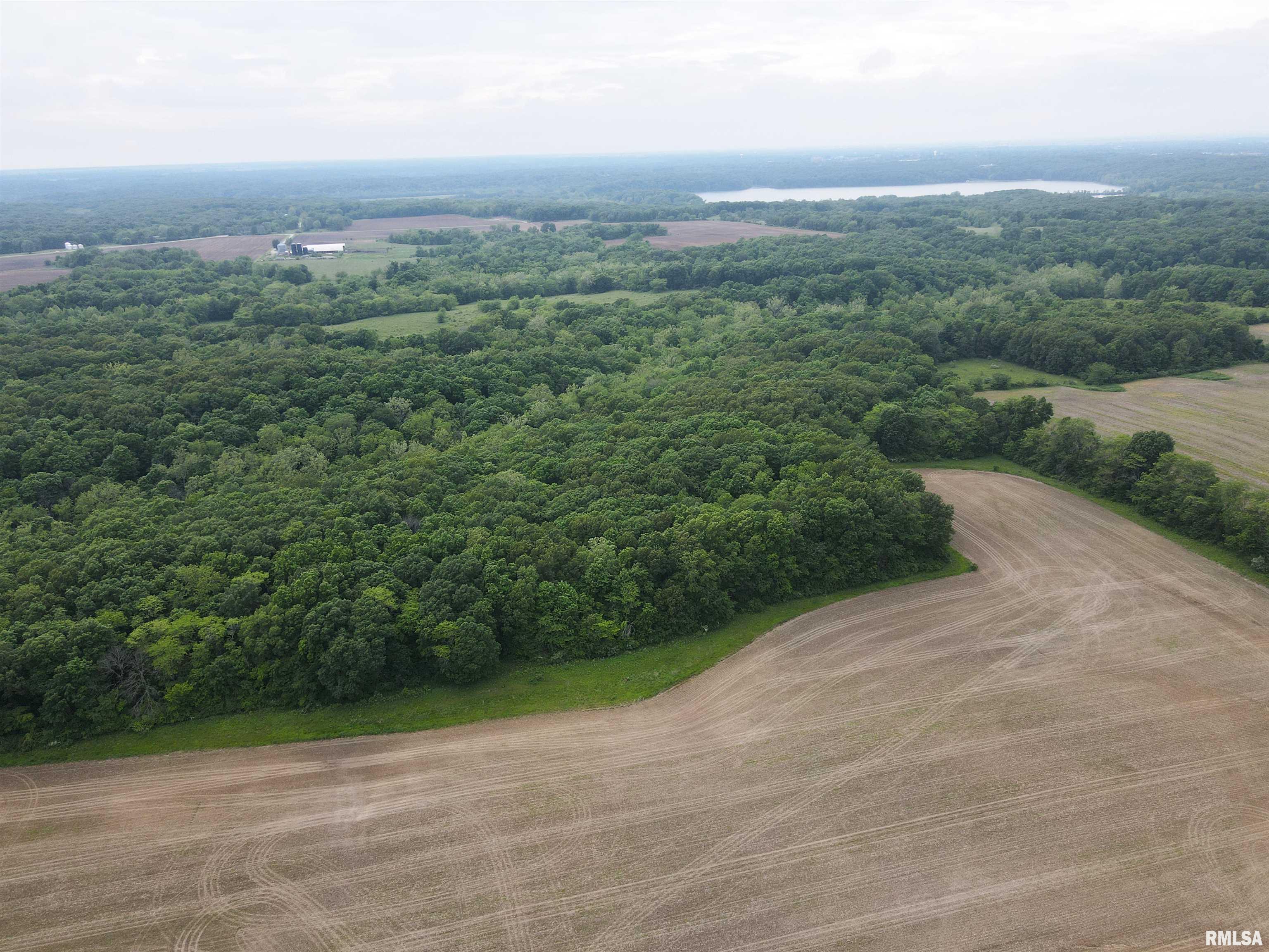 0 North Snake Trail Road Charleston, IL 61920 - Photo 4 of 58 Gallery Image 4