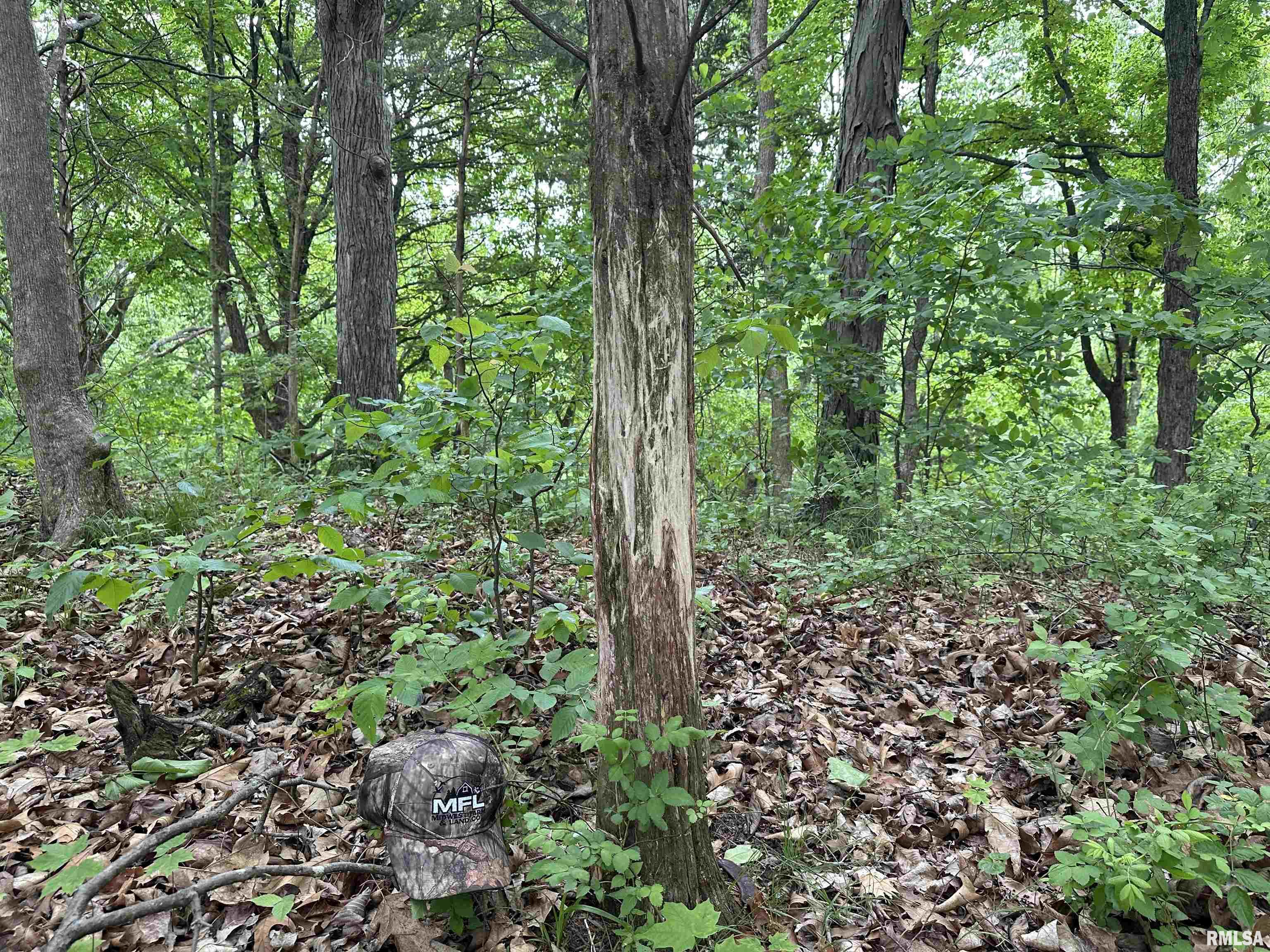 0 North Snake Trail Road Charleston, IL 61920 - Photo 42 of 58 Gallery Image 42