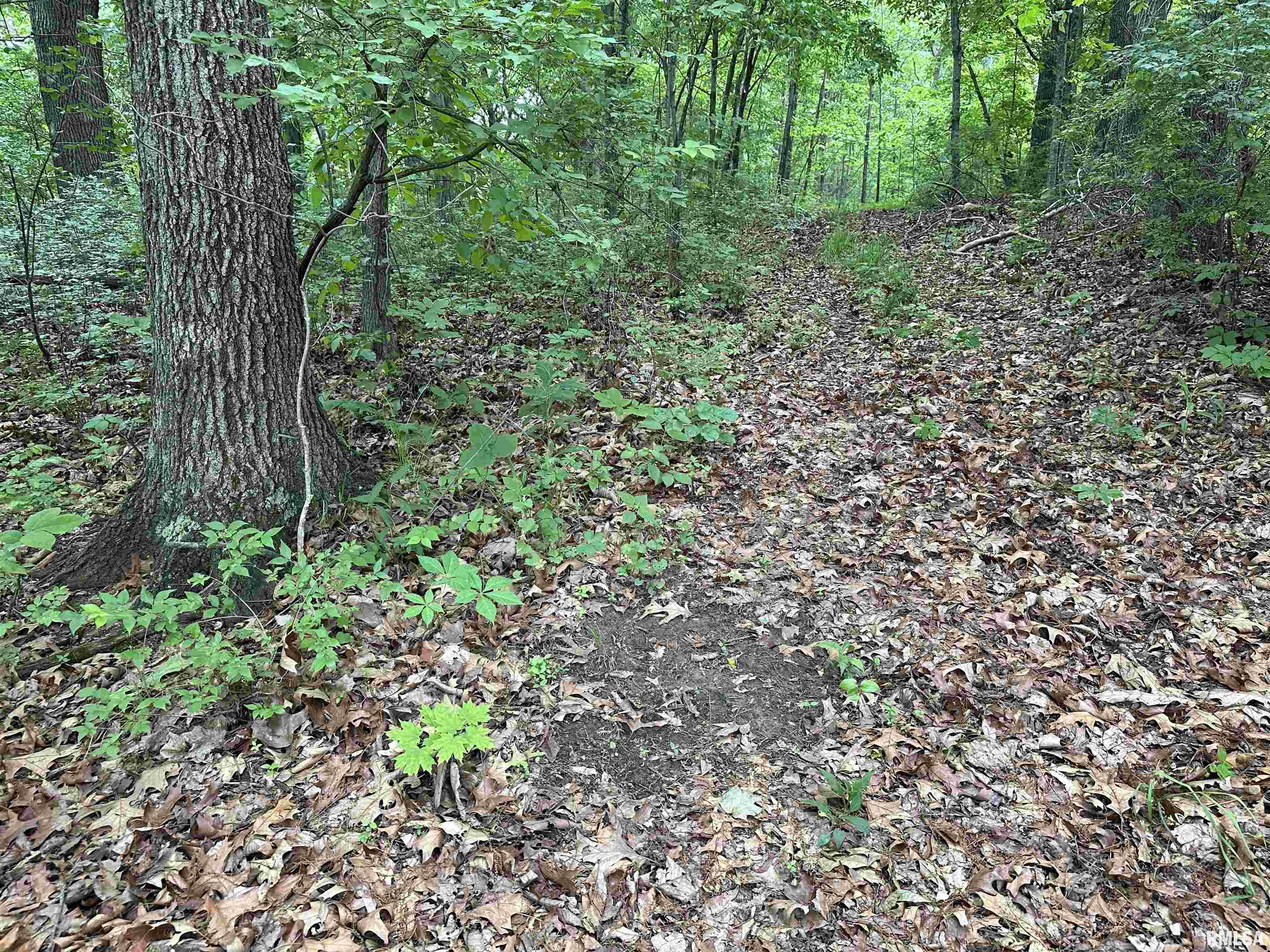 0 North Snake Trail Road Charleston, IL 61920 - Photo 45 of 58 Gallery Image 45
