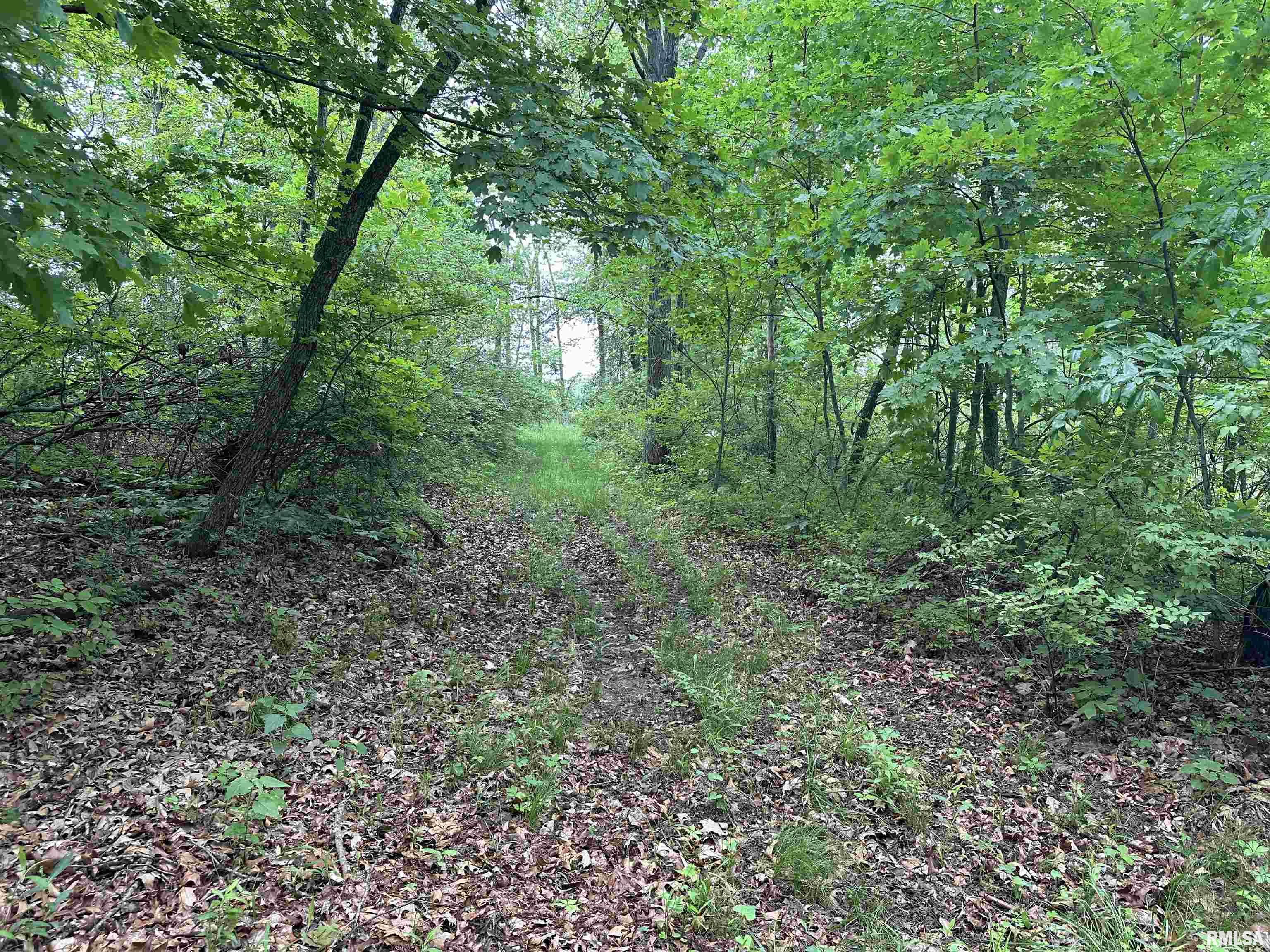 0 North Snake Trail Road Charleston, IL 61920 - Photo 46 of 58 Gallery Image 46