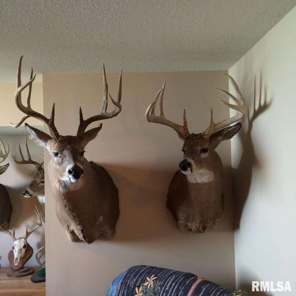 0 North Snake Trail Road Charleston, IL 61920 - Photo 55 of 58 Gallery Image 55