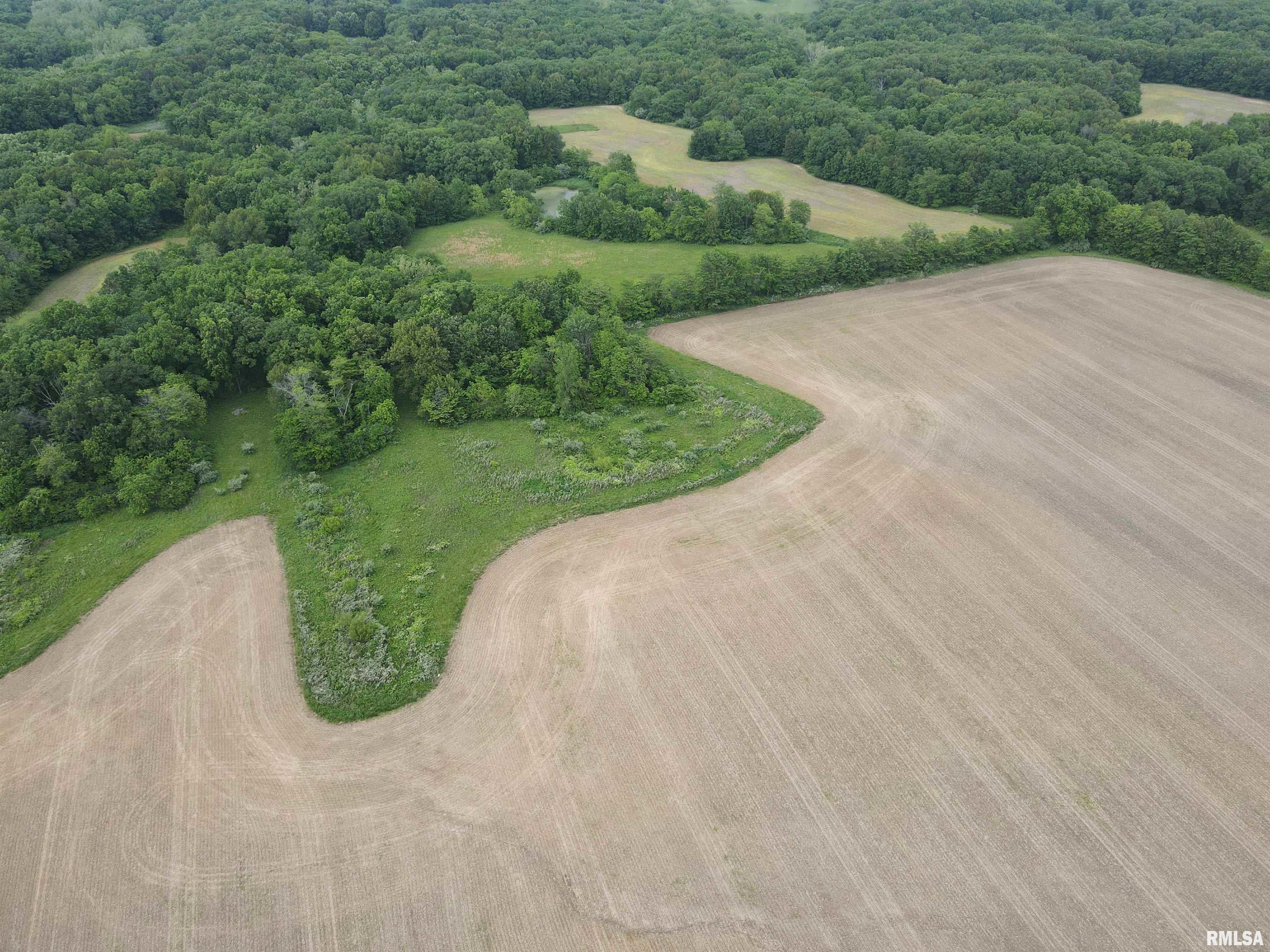 0 North Snake Trail Road Charleston, IL 61920 - Photo 6 of 58 Gallery Image 6