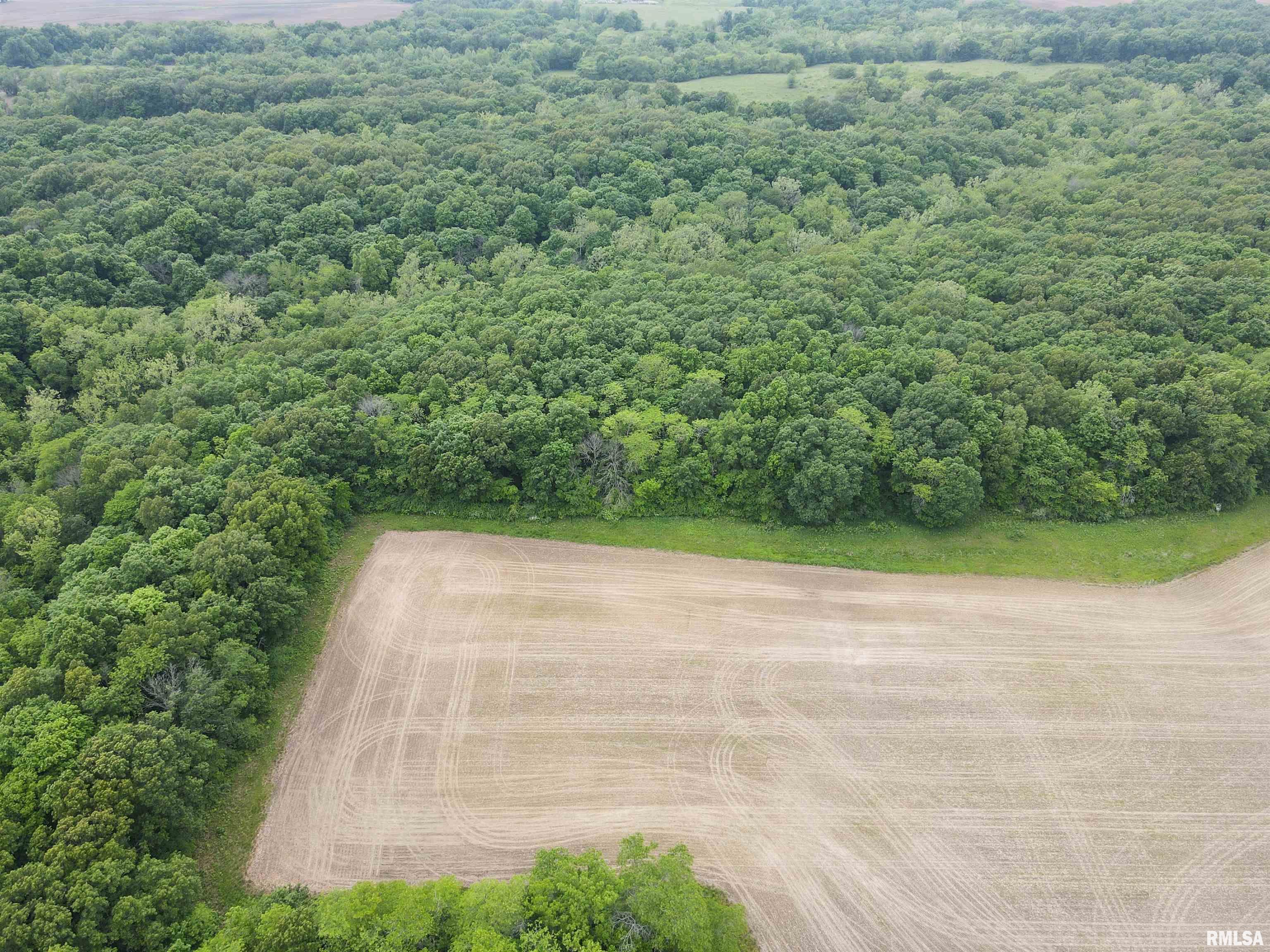 0 North Snake Trail Road Charleston, IL 61920 - Photo 8 of 58 Gallery Image 8