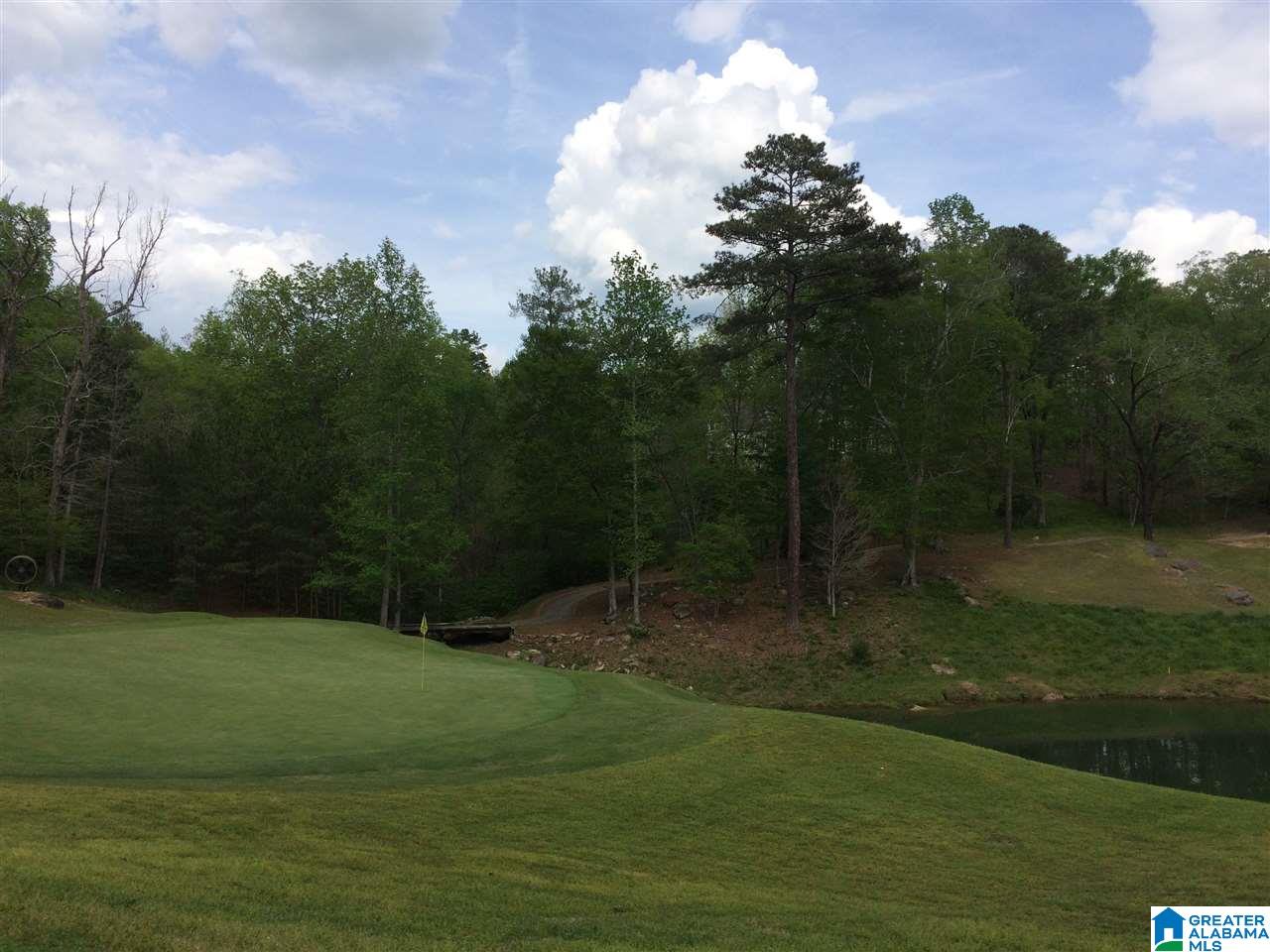 0 Bellerive Circle, Unit 160 Oneonta, AL 35121 - Photo 3 of 19