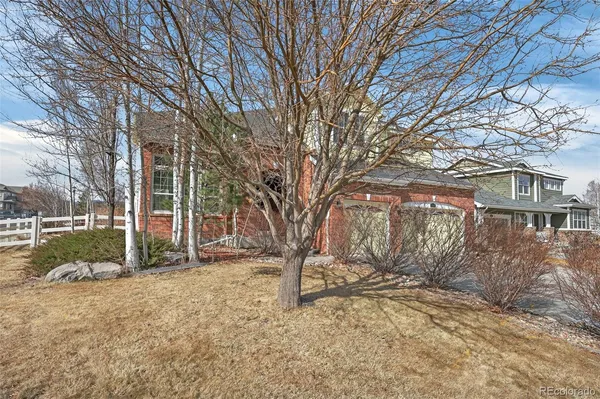 a view of backyard with large trees