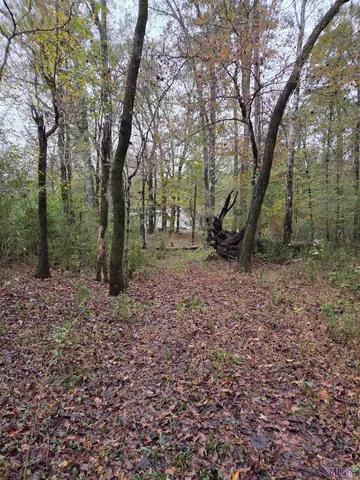 $229,000 | 126 Sumrall Lane, Woodville, MS 39669