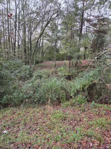 $229,000 | 126 Sumrall Lane, Woodville, MS 39669