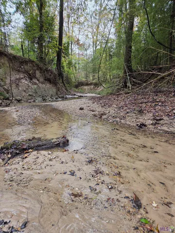 $229,000 | 126 Sumrall Lane, Woodville, MS 39669