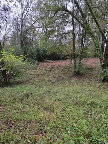 $229,000 | 126 Sumrall Lane, Woodville, MS 39669