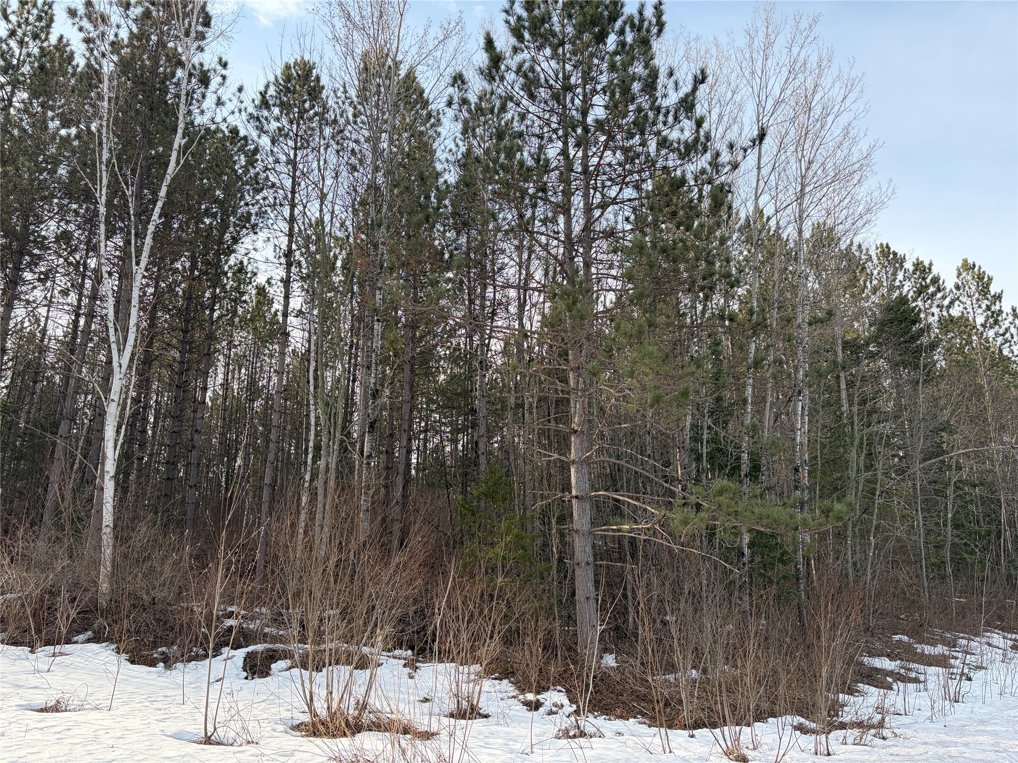 On West Barker Lake Road Winter, WI 54896 - Photo 2 of 7