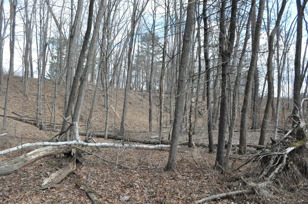 1010 Ryan Road Northampton, MA 01062 - Photo 21 of 42 Gallery Image 21