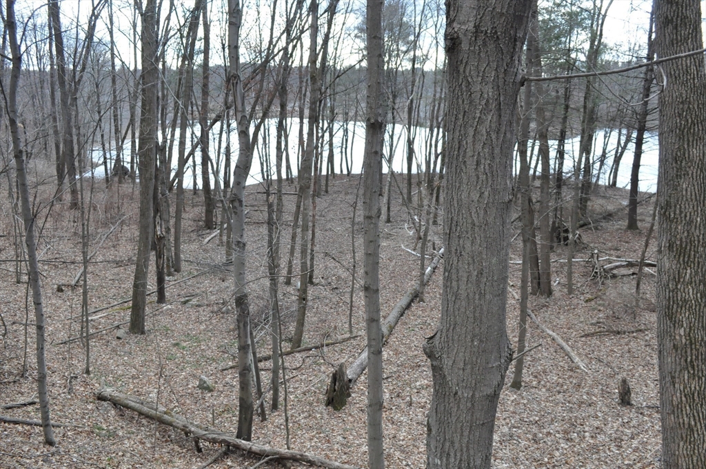 1010 Ryan Road Northampton, MA 01062 - Photo 22 of 42 Gallery Image 22