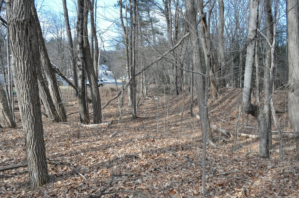 1010 Ryan Road Northampton, MA 01062 - Photo 24 of 42 Gallery Image 24