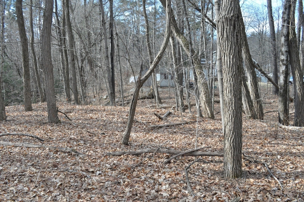 1010 Ryan Road Northampton, MA 01062 - Photo 25 of 42 Gallery Image 25
