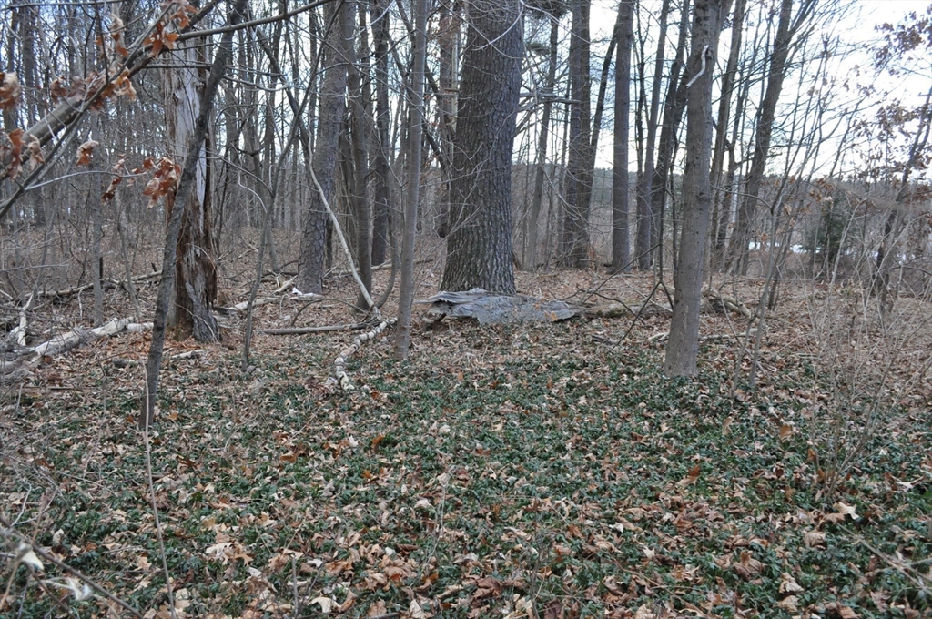 1010 Ryan Road Northampton, MA 01062 - Photo 29 of 42 Gallery Image 29