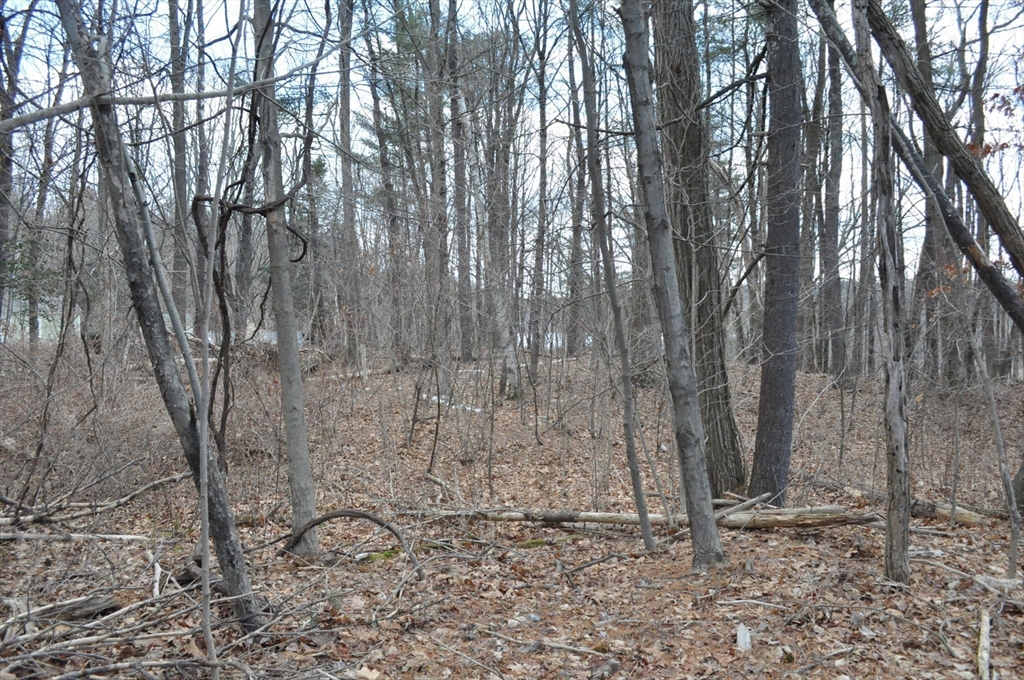 1010 Ryan Road Northampton, MA 01062 - Photo 30 of 42 Gallery Image 30