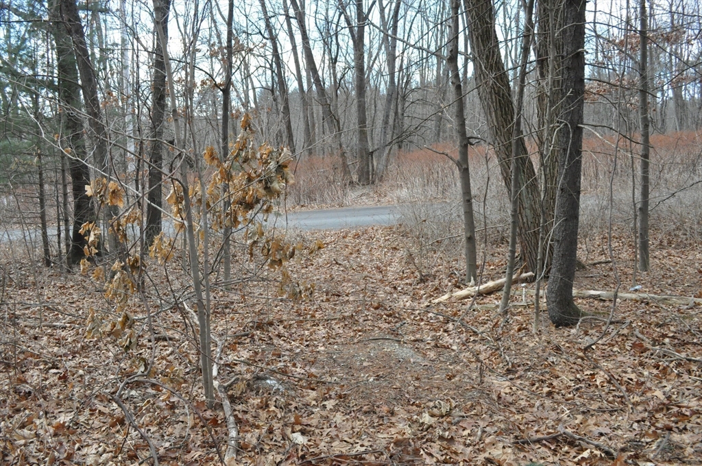 1010 Ryan Road Northampton, MA 01062 - Photo 32 of 42 Gallery Image 32