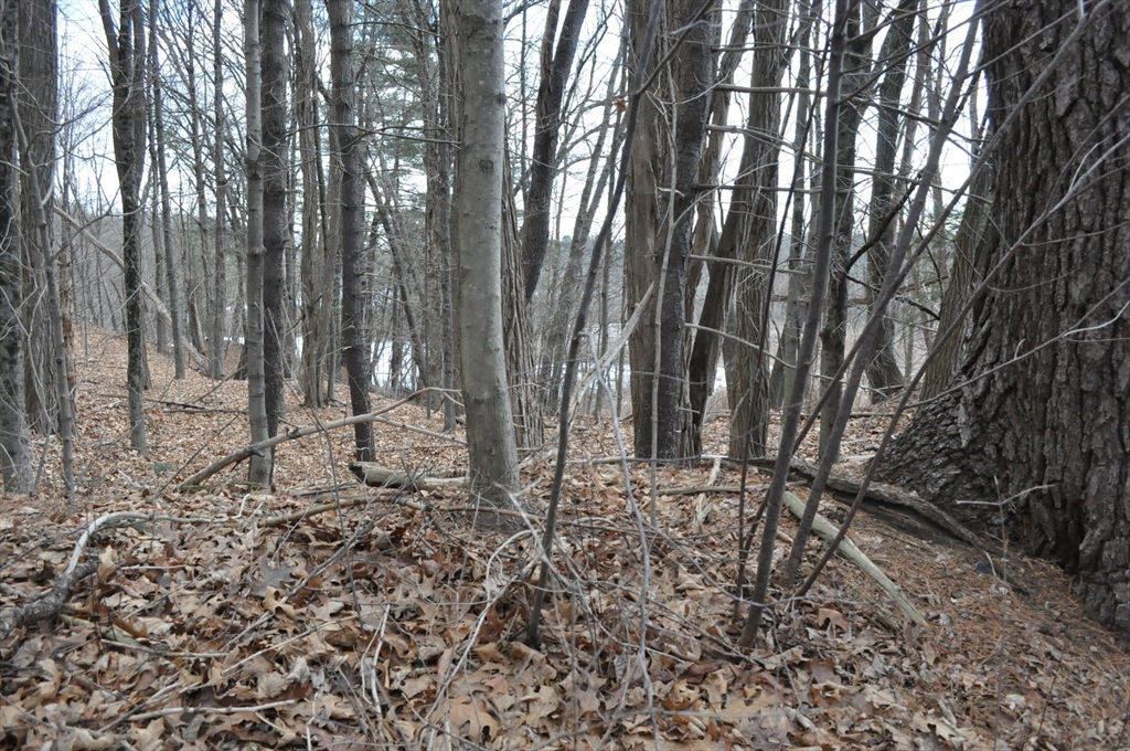 1010 Ryan Road Northampton, MA 01062 - Photo 33 of 42 Gallery Image 33