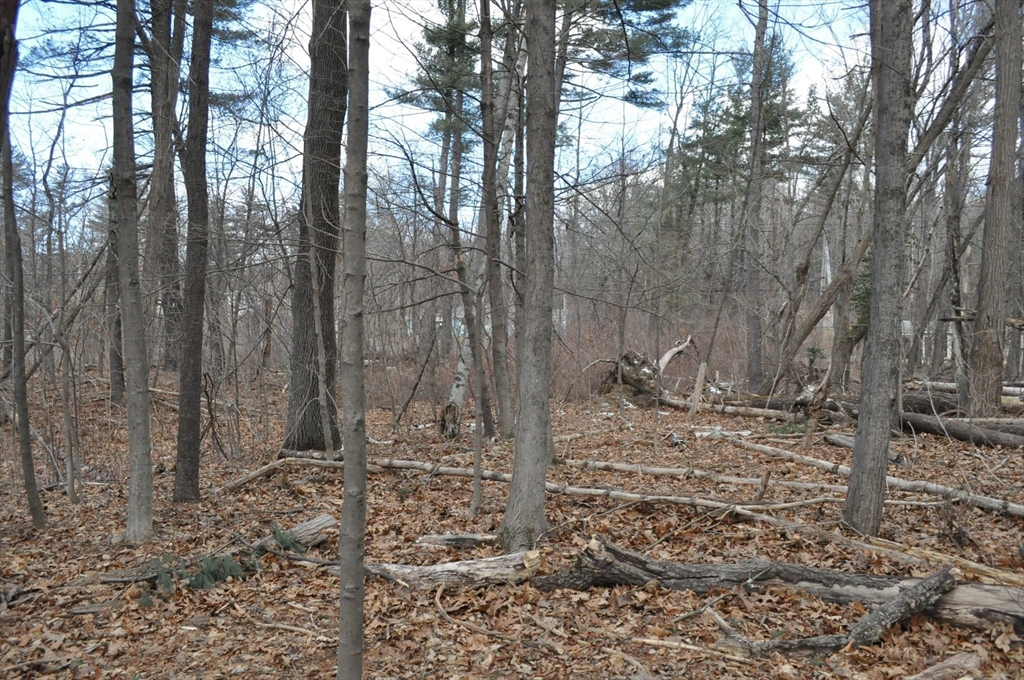 1010 Ryan Road Northampton, MA 01062 - Photo 35 of 42 Gallery Image 35