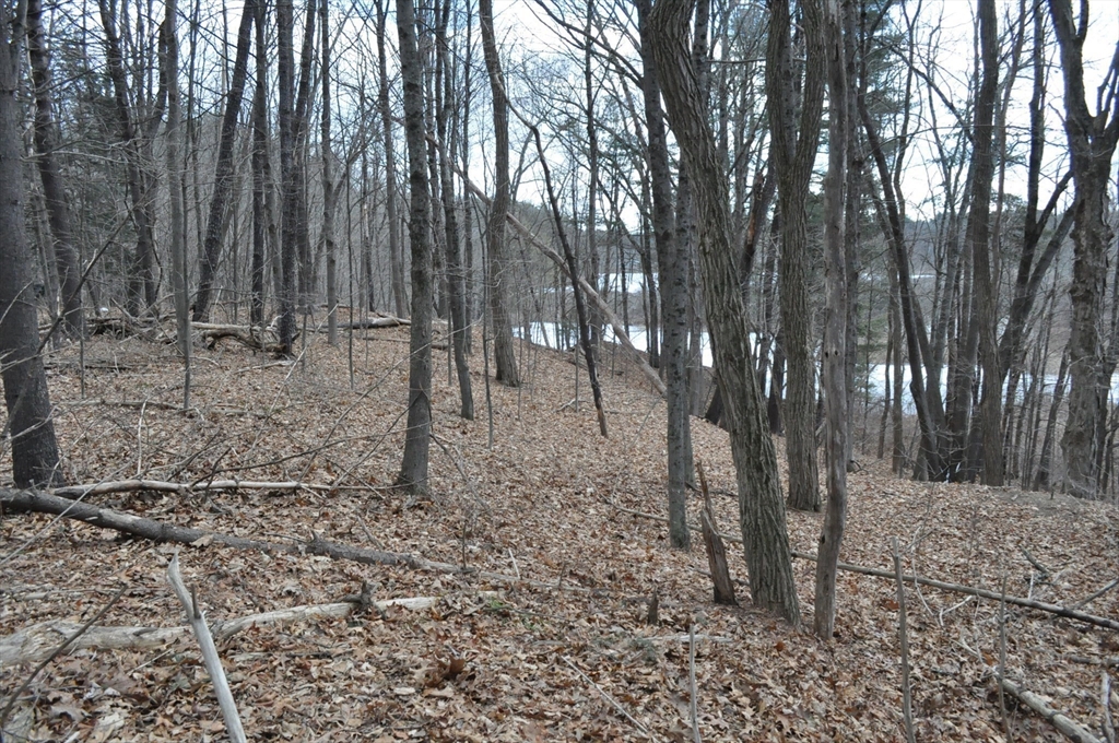 1010 Ryan Road Northampton, MA 01062 - Photo 36 of 42 Gallery Image 36